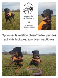 Aux Amis de Florence la Niche des Grands Coeurs : Activités Canines Ludiques
