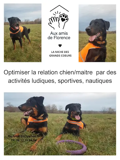 Aux Amis de Florence la Niche des Grands Coeurs : Activités Canines Ludiques