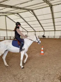 Poney-club du Haras de Jardy