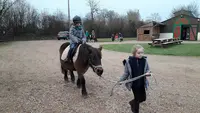 Les Chevaux de Marolles