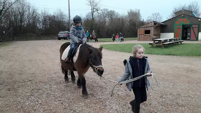 Les Chevaux de Marolles