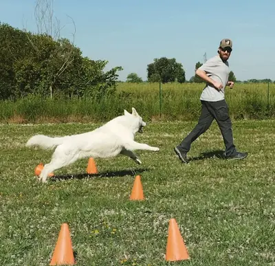 Remy Sense - Dog & Me - Educateur Canin