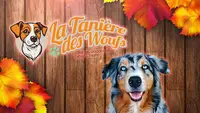 La Tanière des Woufs - Gîte de Vacances Pour Chiens