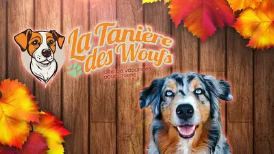La Tanière des Woufs - Gîte de Vacances Pour Chiens