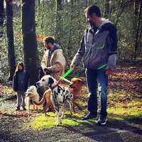 Justine Carlier - Éducateur Canin & Pension Canine