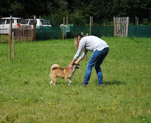 Isabelle Maguda - Bien Avec Son Chien