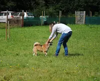 Isabelle Maguda - Bien Avec Son Chien