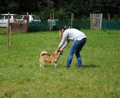 Isabelle Maguda - Bien Avec Son Chien