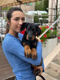 Black Owl Dobermann