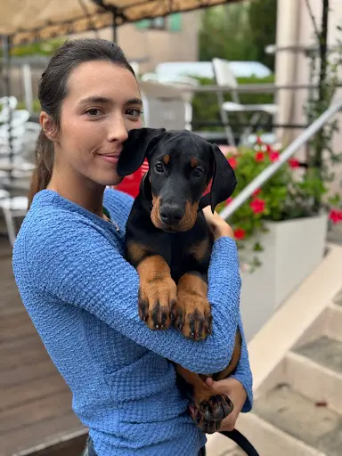 Black Owl Dobermann