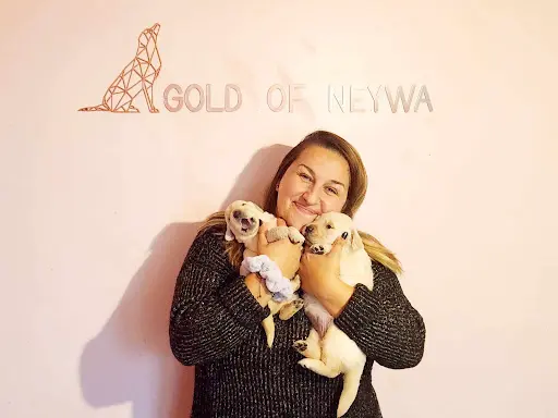Gold Of Neywa