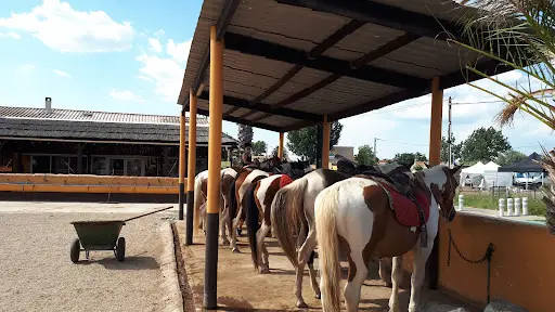 Ranch la Camargue