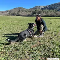 Audrey Perez - Education et Comportements Canins