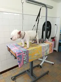 La Maison du Chien
