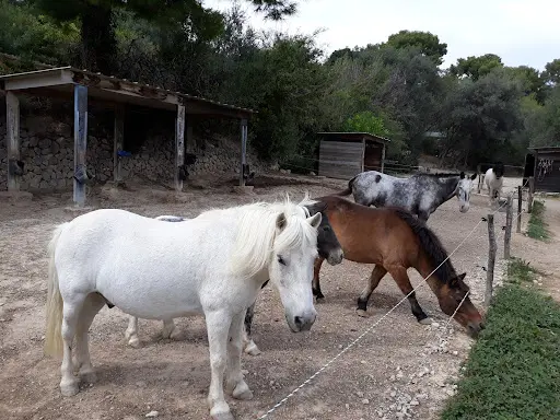 Les Écuries de Palama