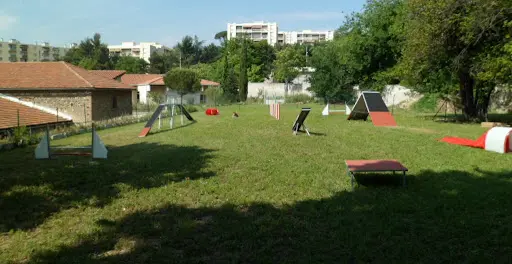 Club Canin du Soleil
