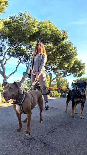 Ora - Éducatrice Comportementaliste Canine.