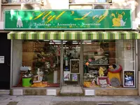 Styl Dog Toilettage Marseille