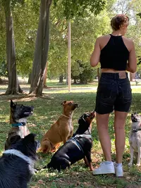 Trois P Tits Chiens - Éducatrice Canin