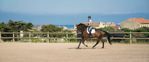 Centre Equestre Marseille Pastre - Ucpa