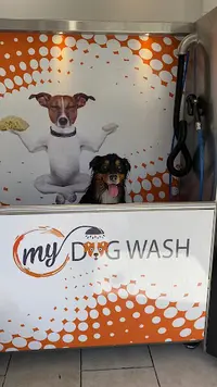 My Dog Wash