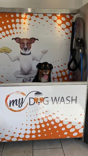 My Dog Wash