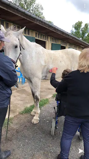Centre Equestre de la Taille Ronde