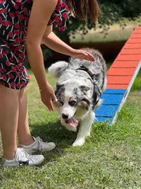 Canicampus Centre Canin