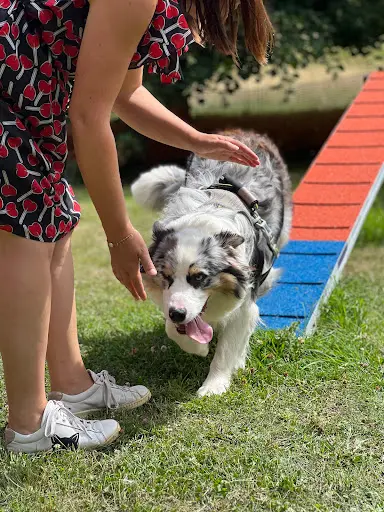 Canicampus Centre Canin