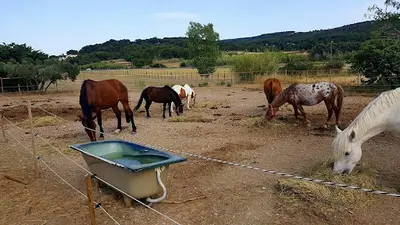 Ecurie des Pivoines - Centre Equestre/poney Club