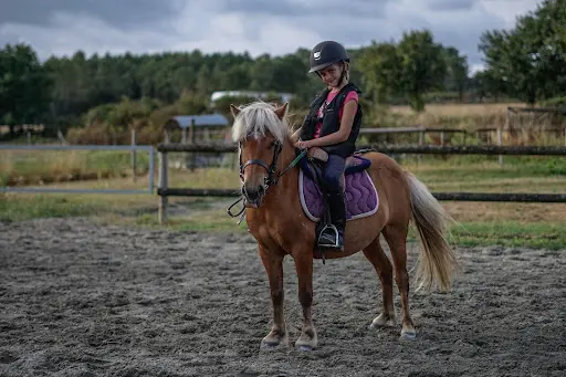Centre Equestre de Kerlarno