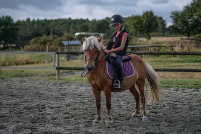 Centre Equestre de Kerlarno
