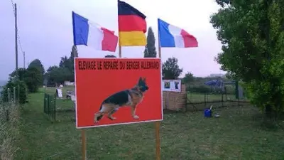Le Repaire du Berger Allemand