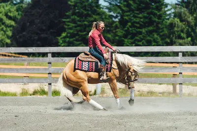 Ranch de Lauzerat / Cg Reining Horses