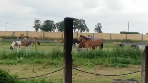 Poney-club le Pré Vert