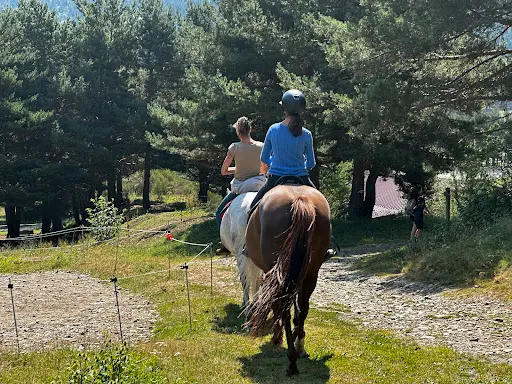 Cheval Rando