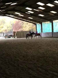 Ecurie Lm Jumping