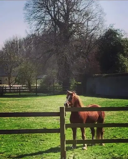 Paddocks de Vauville
