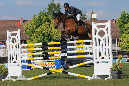 Jumping International de Maubeuge
