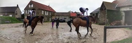 Voltige Equestre de Mauchamps