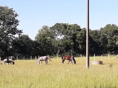 Centre Equestre de la Pommeraye
