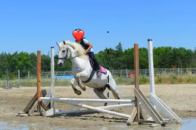 Centre Equestre l'Hacienda