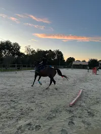 Centre Équestre Sud Occitanie