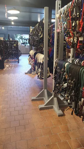 Padd Montpellier