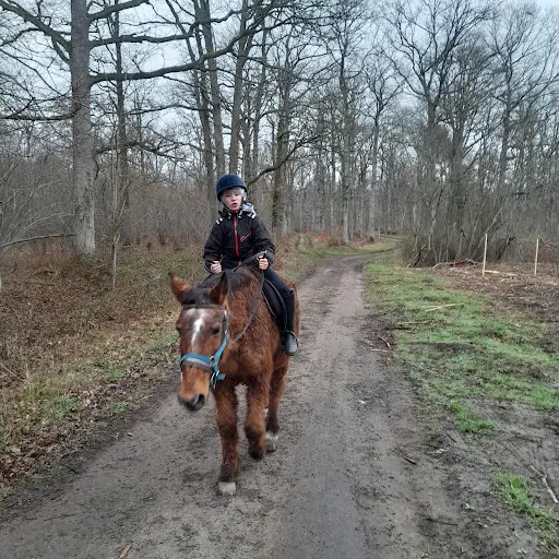 Poney-club de la Buissonnière