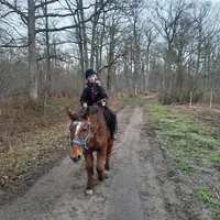 Poney-club de la Buissonnière
