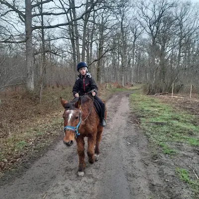Poney-club de la Buissonnière
