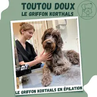 Toutou Doux