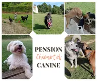 Chienotel - Pension Pour Chien, Chat, Nac