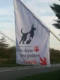 Bien Dans Ses Pattes